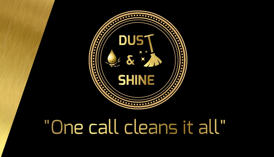 dustshine3