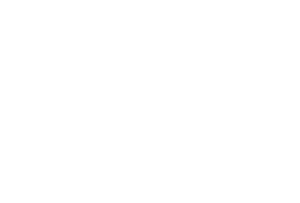 hotelpalace