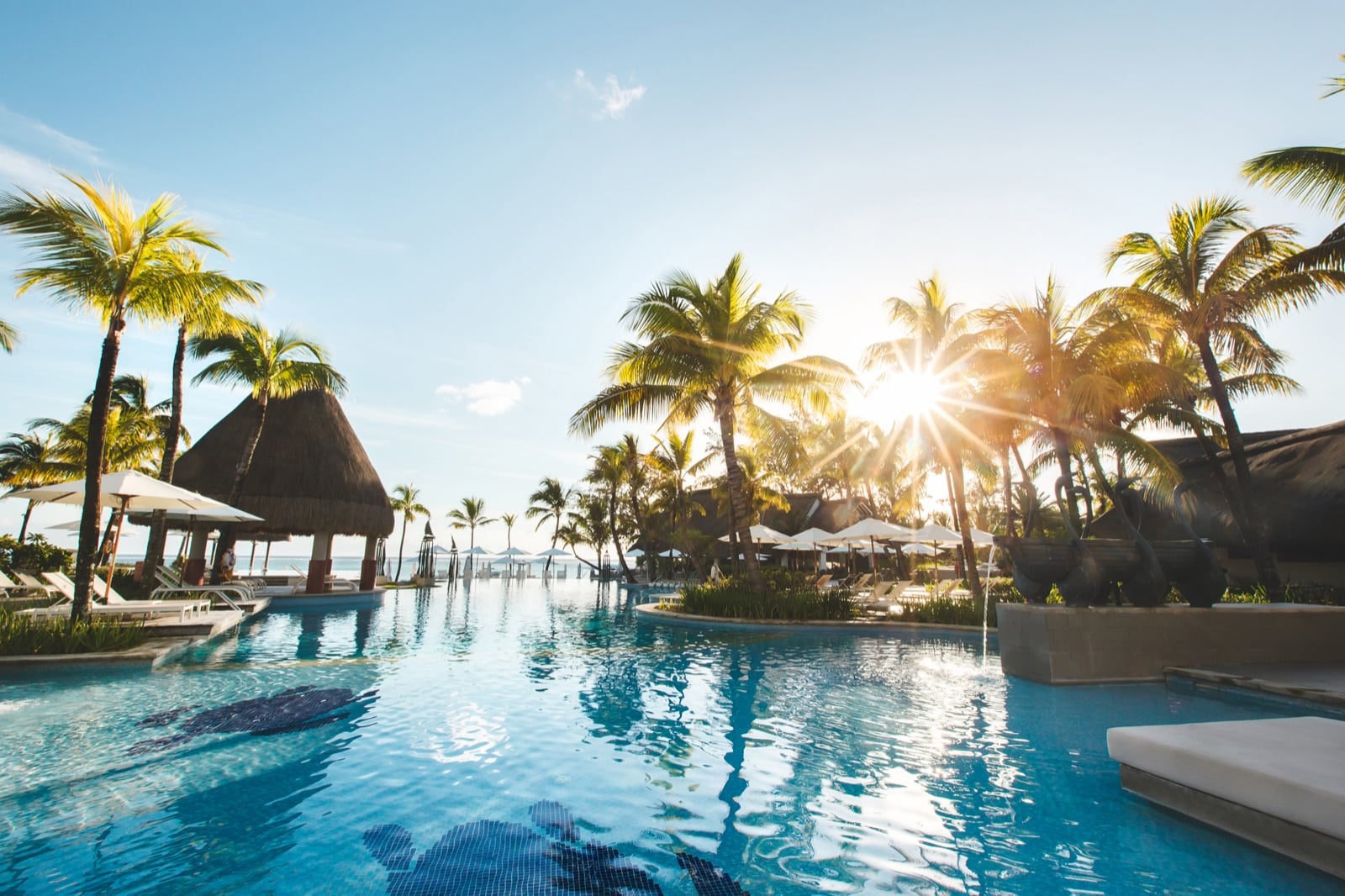 Resort pool with palm trees and umbrellas
