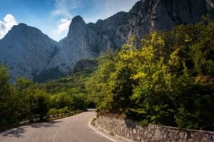 Mountain road winding through forest and rock formations