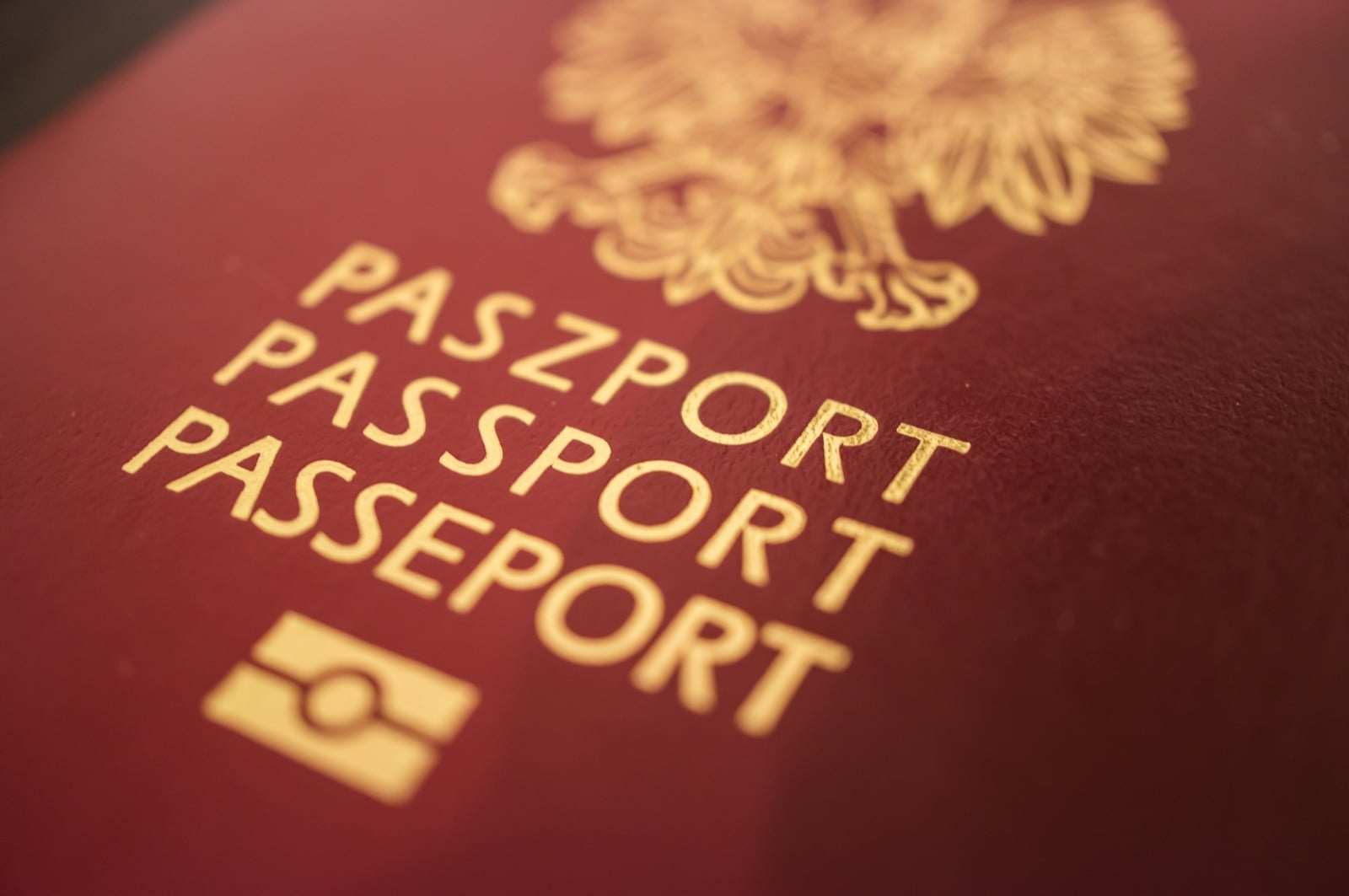 Close-up of a passport cover with gold lettering